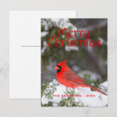 Kerstmis - Noordelijk Hoofdmannetje in de boom van Feestdagenkaart (Voorkant / Achterkant)