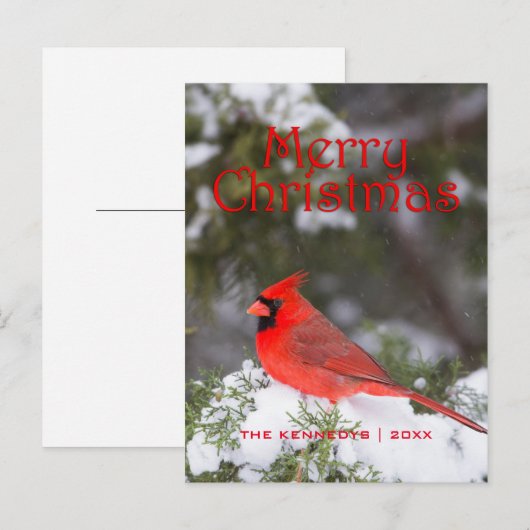 Kerstmis - Noordelijk Hoofdmannetje in de boom van Feestdagenkaart (Voorkant / Achterkant)