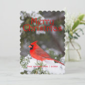 Kerstmis - Noordelijk Hoofdmannetje in de boom van Feestdagenkaart (Staand voorkant)