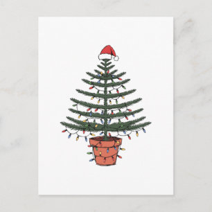 Kerstmis Norfolk Eiland Pijnboom Potted Araucaria Briefkaart