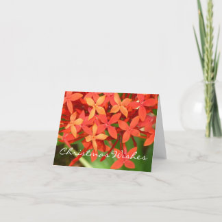 Kerstmis Notecard van de Bloesems van Ixora Feestdagen Kaart