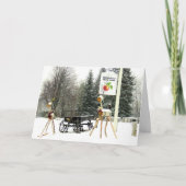 Kerstmis op Brookdale Fruit Boerderij in Hollis, N Feestdagen Kaart (Voorkant)