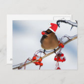 kerstmis op een boomtak feestdagenkaart (Voorkant / Achterkant)