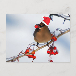 kerstmis op een boomtak feestdagenkaart