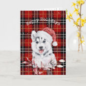 Kerstmis op Tartan Betaalde Kaart (Gele Bloem)