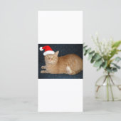 Kerstmis Oranje Tabby Cat (Staand voorkant)