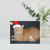 Kerstmis Oranje Tabby Cat Feestdagenkaart (Staand voorkant)