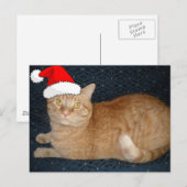 Kerstmis Oranje Tabby Cat Feestdagenkaart (Voorkant / Achterkant)