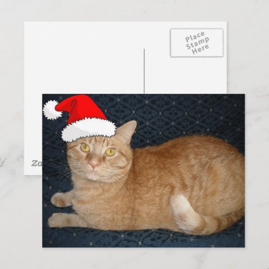 Kerstmis Oranje Tabby Cat Feestdagenkaart (Voorkant / Achterkant)