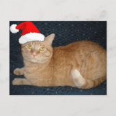 Kerstmis Oranje Tabby Cat Feestdagenkaart (Voorkant)