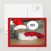 Kerstmis Oranje Tabby Cat Feestdagenkaart (Voorkant / Achterkant)