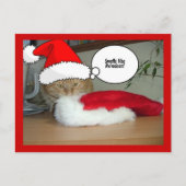 Kerstmis Oranje Tabby Cat Feestdagenkaart (Voorkant)