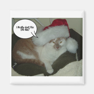 Kerstmis Oranje Tabby Cat Humbug Magneet