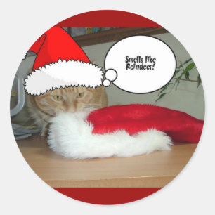 Kerstmis Oranje Tabby Cat Ronde Sticker