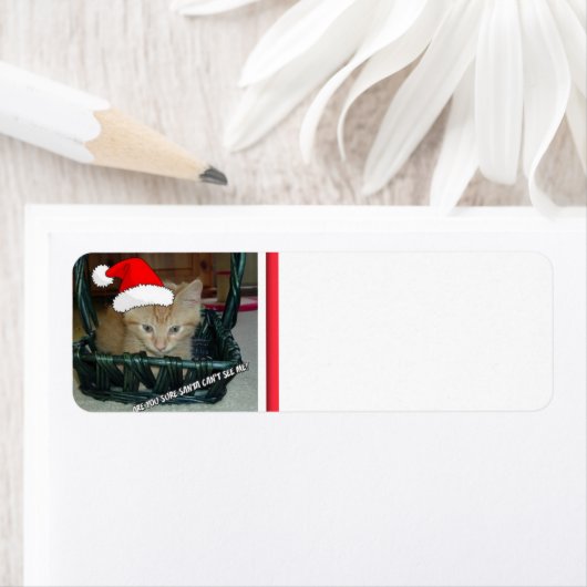 Kerstmis Oranje Tabby Kitten Etiket (Insitu)