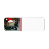 Kerstmis Oranje Tabby Kitten Etiket (Voorkant)