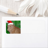 Kerstmis Oranje Tabby Kitten Etiket (Insitu)