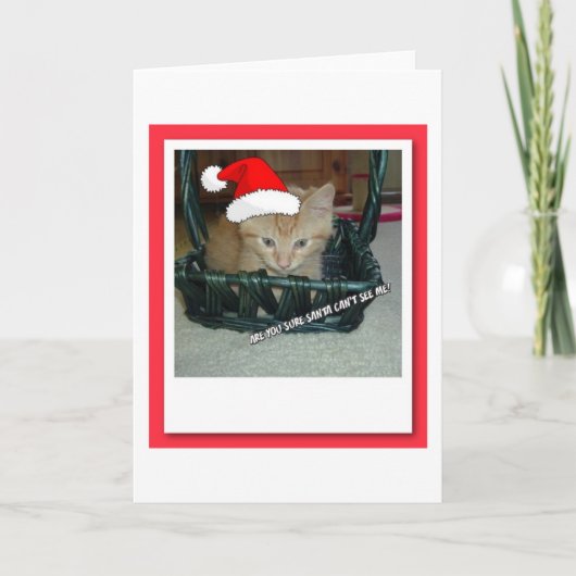 Kerstmis Oranje Tabby Kitten Feestdagen Kaart (Voorkant)