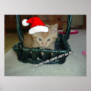 Kerstmis Oranje Tabby Kitten Poster