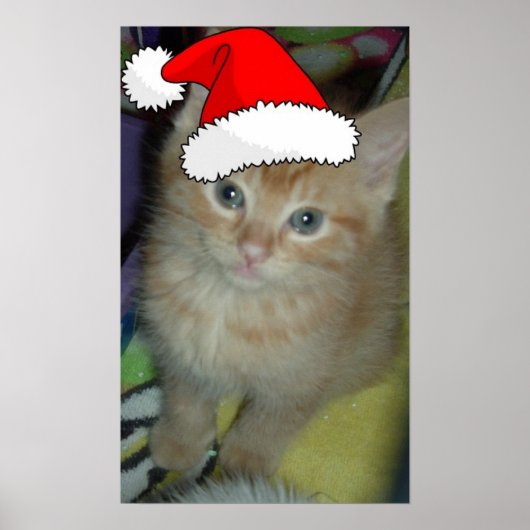 Kerstmis Oranje Tabby Kitten Poster (Voorkant)