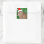 Kerstmis Oranje Tabby Kitten Vierkante Sticker (Tas)