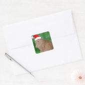 Kerstmis Oranje Tabby Kitten Vierkante Sticker (Envelop)