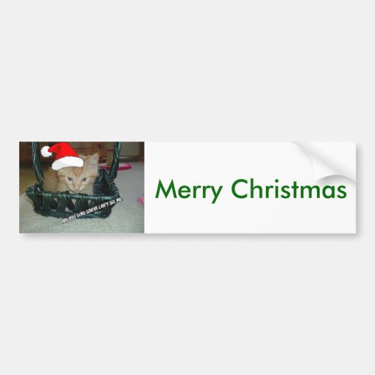 Kerstmis Oranje Tabby Kitty Cat Bumpersticker (Voorkant)