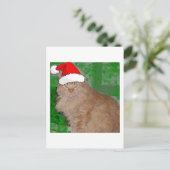 Kerstmis Oranje Tabby Kitty Cat Feestdagenkaart (Staand voorkant)