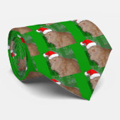Kerstmis Oranje Tabby Kitty Cat Stropdas (Opgerold)