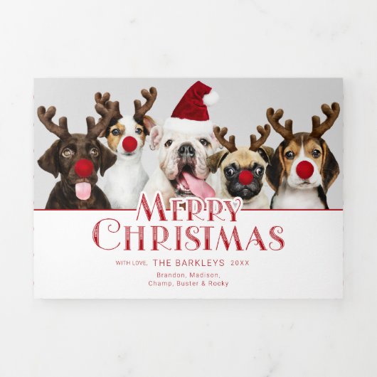 Kerstmis Pet Typografie | Foto | Stippen Drieluik Wenskaart (Cover)