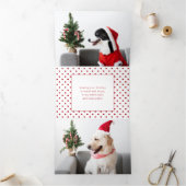 Kerstmis Pet Typografie | Foto | Stippen Drieluik Wenskaart (Binnen)