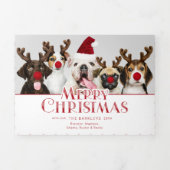 Kerstmis Pet Typography | Foto | Stippen Drieluik Wenskaart (Cover)