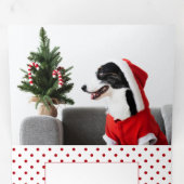 Kerstmis Pet Typography | Foto | Stippen Drieluik Wenskaart (Binnenzijde eerst)