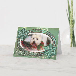 Kerstmis Photocard van Terrier van het Hoogland Feestdagen Kaart