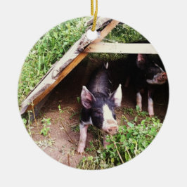 Kerstmis-pig Keramisch Ornament