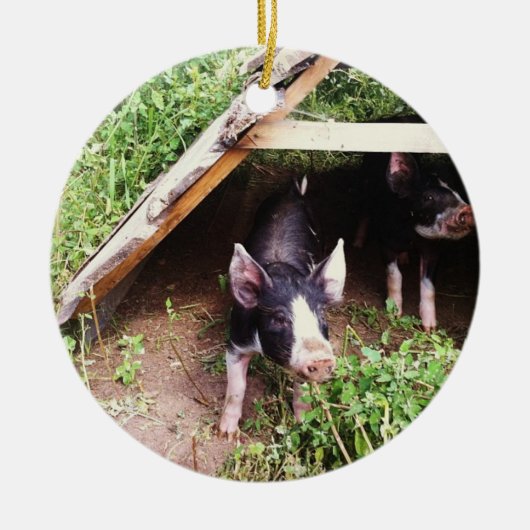 Kerstmis-pig Keramisch Ornament (Voorkant)