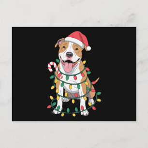 Kerstmis Pitbull Hond Sinterklaas Hoed Lichten Sui Feestdagenkaart
