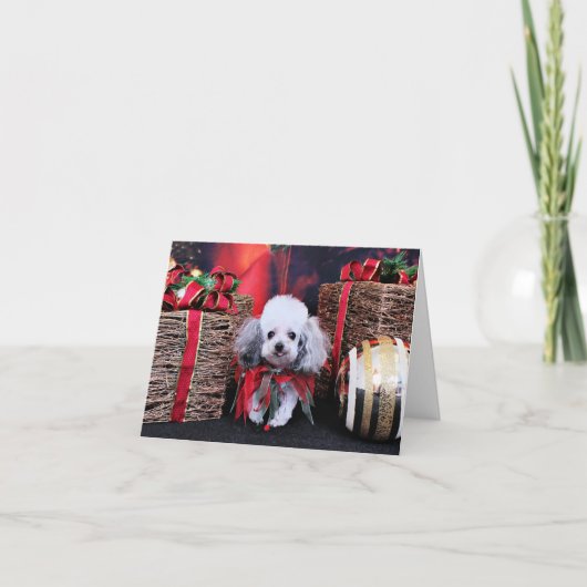 Kerstmis - Poedel - Lilly Feestdagen Kaart (Voorkant)