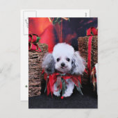 Kerstmis - Poedel - Lilly Feestdagenkaart (Voorkant / Achterkant)