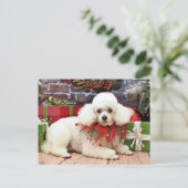 Kerstmis - Poedel - Sophie Feestdagenkaart (Staand voorkant)