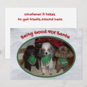 Kerstmis poedels goed voor de kerstman feestdagenkaart (Voorkant / Achterkant)