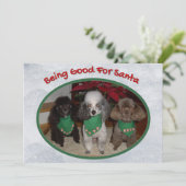 Kerstmis poedels goed voor de kerstman feestdagenkaart (Staand voorkant)