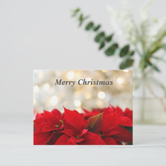 Kerstmis Poinsetta Briefkaart (Staand voorkant)
