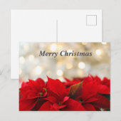 Kerstmis Poinsetta Briefkaart (Voorkant / Achterkant)