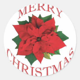 Kerstmis Poinsetta Ronde Sticker