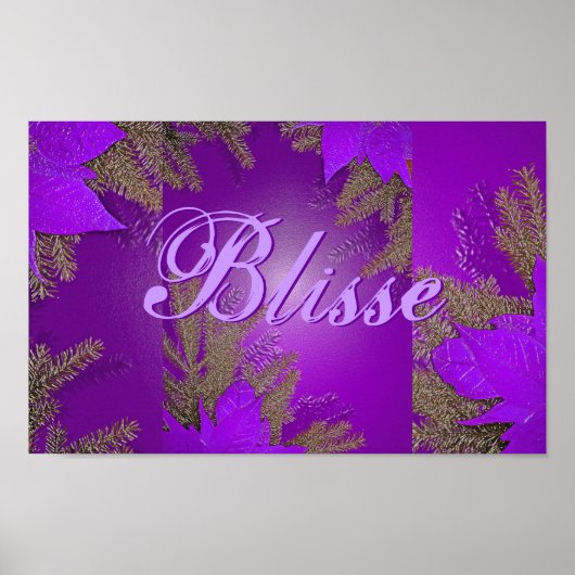 Kerstmis Poinsettia Paarse Blisse II Poster (Voorkant)
