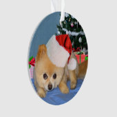 Kerstmis, Pommeren Dog, Santa Hat Ornament (voorkant)