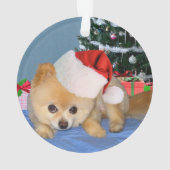 Kerstmis, Pommeren Dog, Santa Hat Ornament (achterkant)