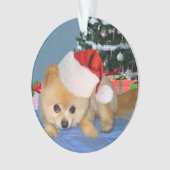 Kerstmis, Pommeren Dog, Santa Hat Ornament (voorkant)