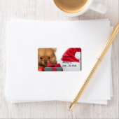 Kerstmis Pommerse puppy Etiket (Insitu)